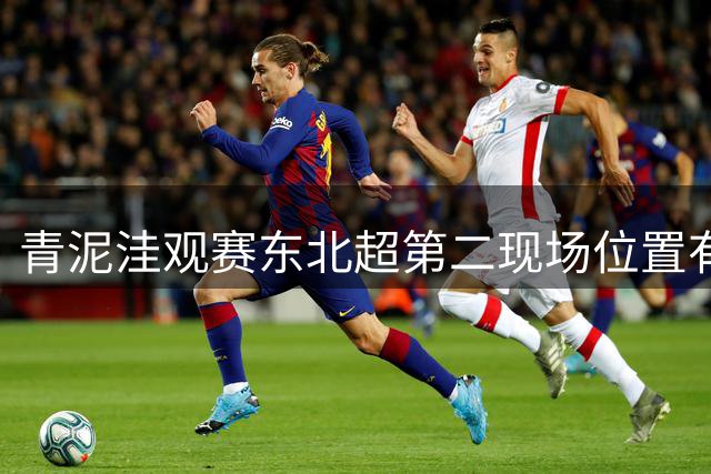 青泥洼观赛东北超第二现场位置有变 啤酒大棚可同时容纳近千人